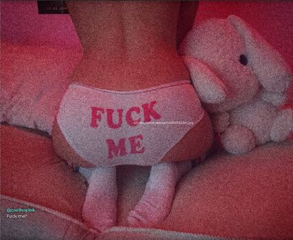 Coelho__pink
