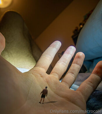 macrocole