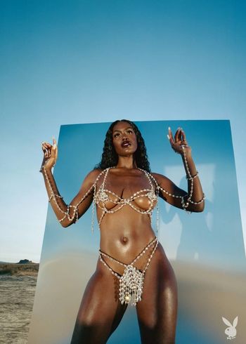 Tanerelle